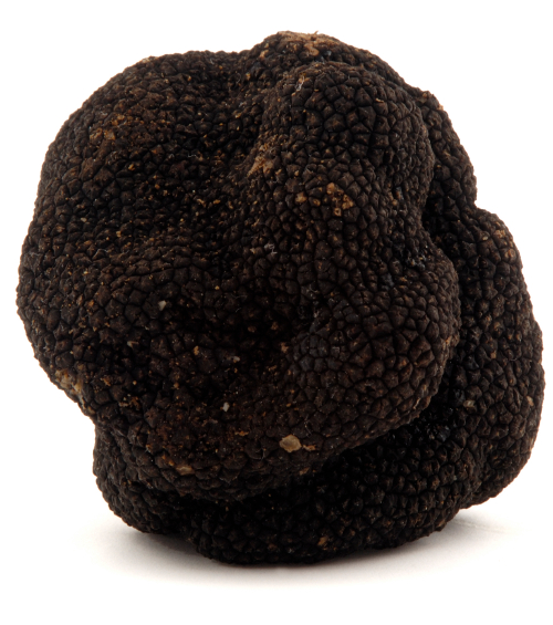 Comment bien cuisiner la truffe?