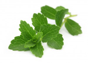 Feuilles de stevia