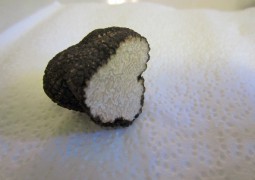 truffe blanche