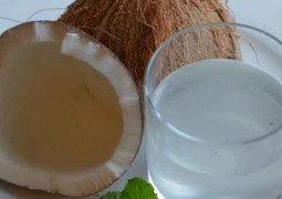 L'eau de coco lors du régime detox