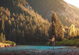 La pêche à la mouche: sport nature respectueux