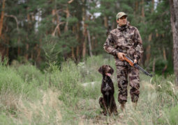 chasse avec fusil et chien