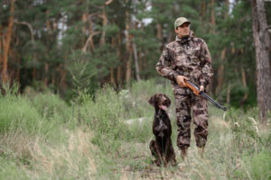 chasse avec fusil et chien