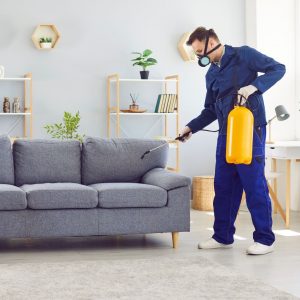 désinsectisation profesionnelle